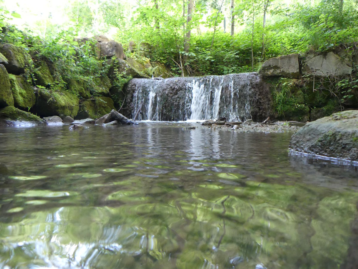 Waldangelbach